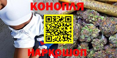 spice Краснознаменск