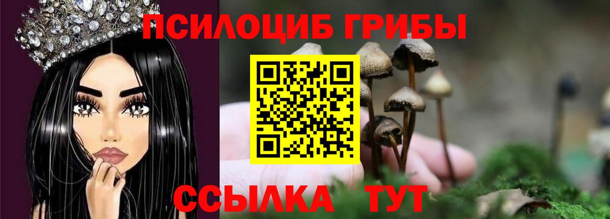Дзержинский  Псилоцибиновые грибы MAGIC MUSHROOMS  Вход с VPN 